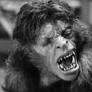 An American Werewolf in London