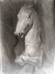 Charcoal horse bust 100x70 cm
