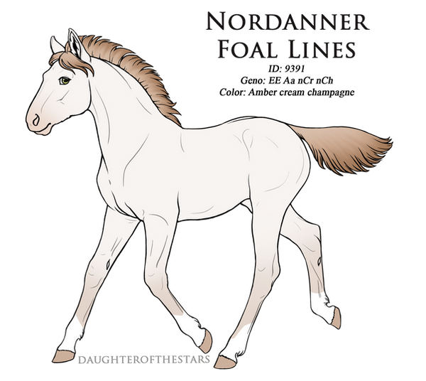 9391 - Nordanner Foal Design