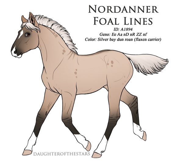 A1894 - Nordanner Foal Design