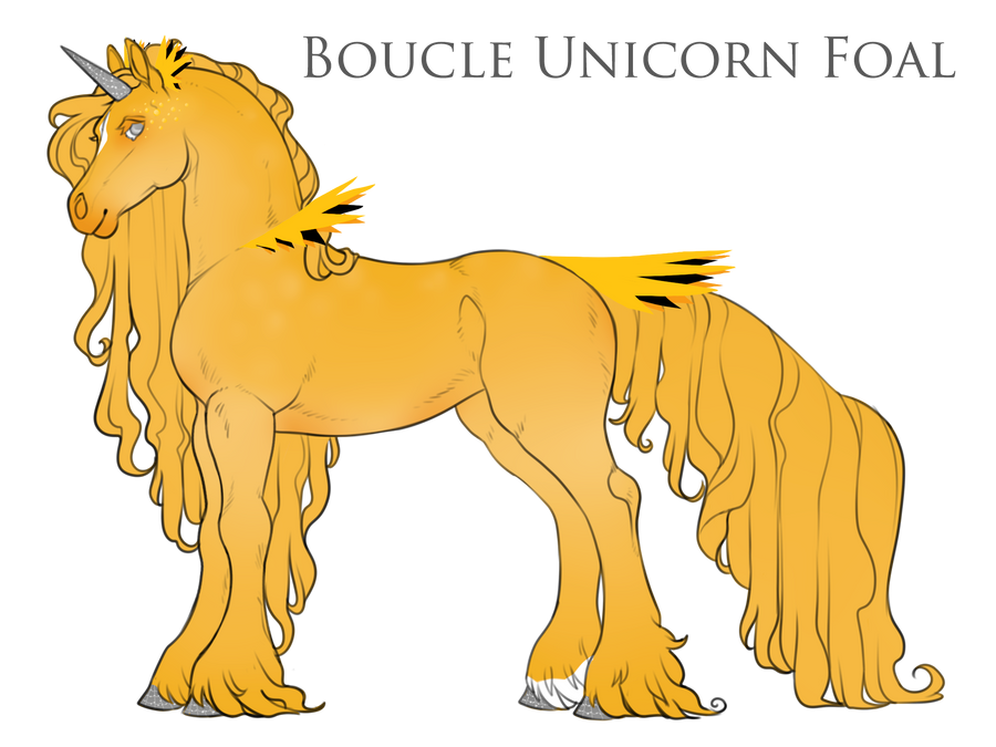 E014 - Boucle Foal Design