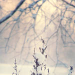 winter noon by PhotoFrama