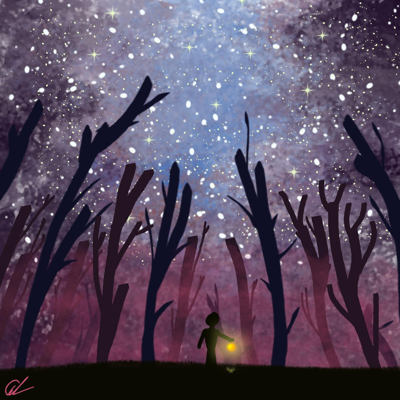 Stary Sky in strange woods