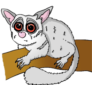 Bushbaby by Keyser2310 on DeviantArt