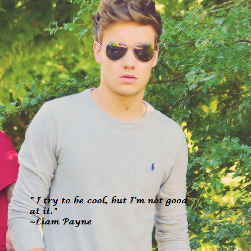 1D Challenge: Day 1-fave Liam quote