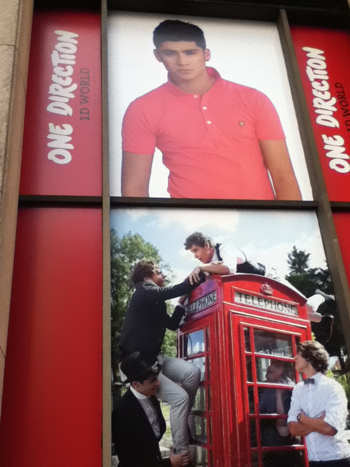 1D World- Zayn