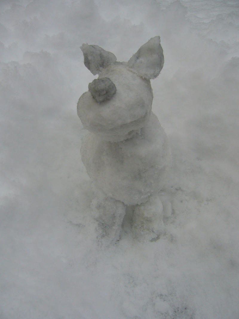 Snow dog 2