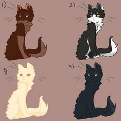 cat adopts (FREE!) /closed/