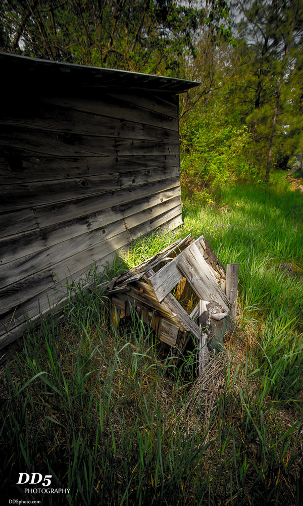 Abandoned dog house