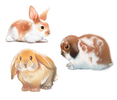 Explore the Best Rabbit Art | DeviantArt