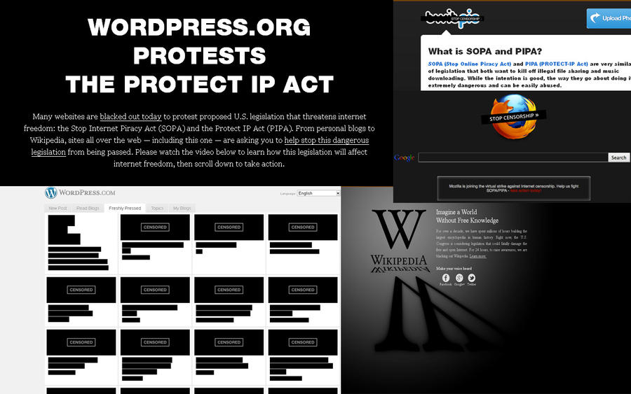 Sopa in the net