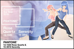 ROSE QUARTZ AND SERENITY PANTONE 2016