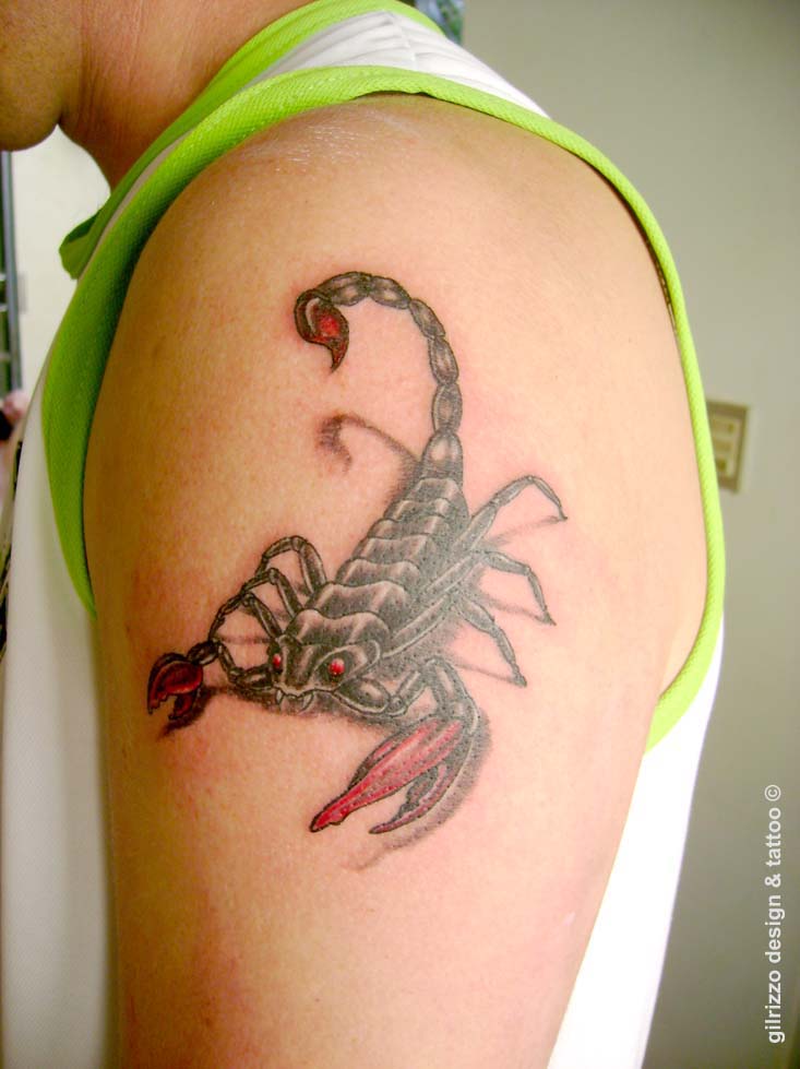 red scorpion tattoo by gilrizzo on DeviantArt