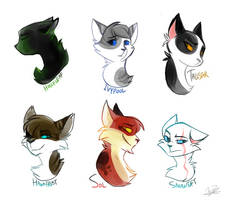 Fav warrior cats