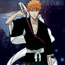 Ichigo Kurozaki Out