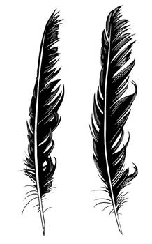 Crow Feather Tattoo Designs