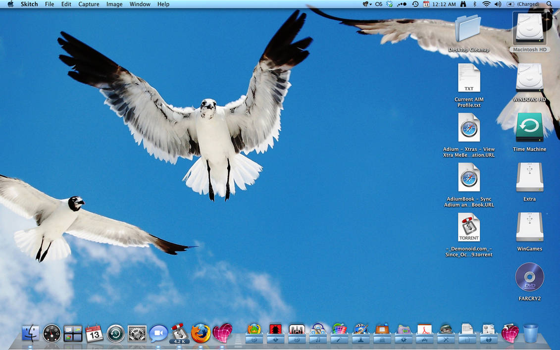 My Desktop - Nov 13, 2008