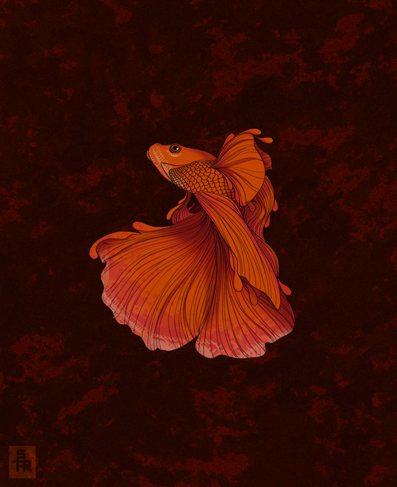 fish by diptobose on DeviantArt
