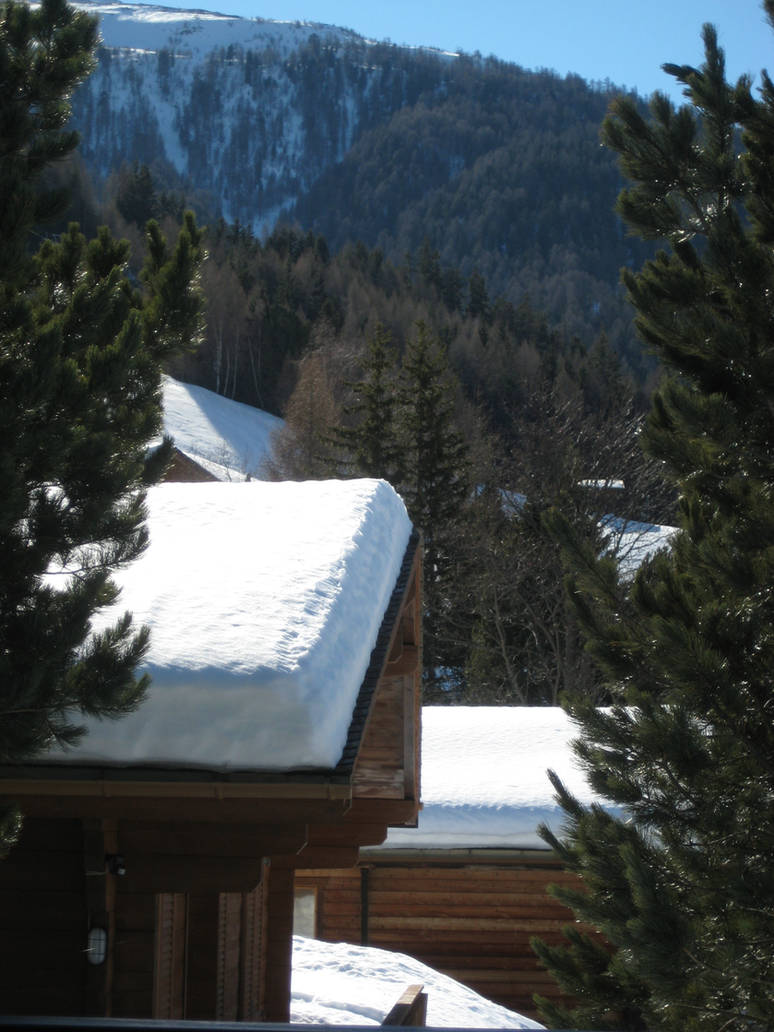 House in the snow