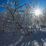 Img 5184