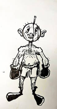Boxer