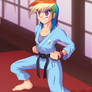 Karateka Rainbow Dash