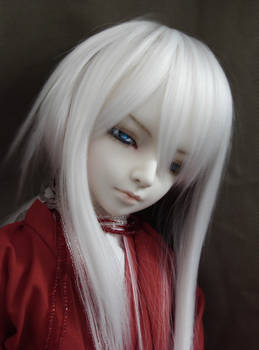 Doll Fam: Yo Myo Han