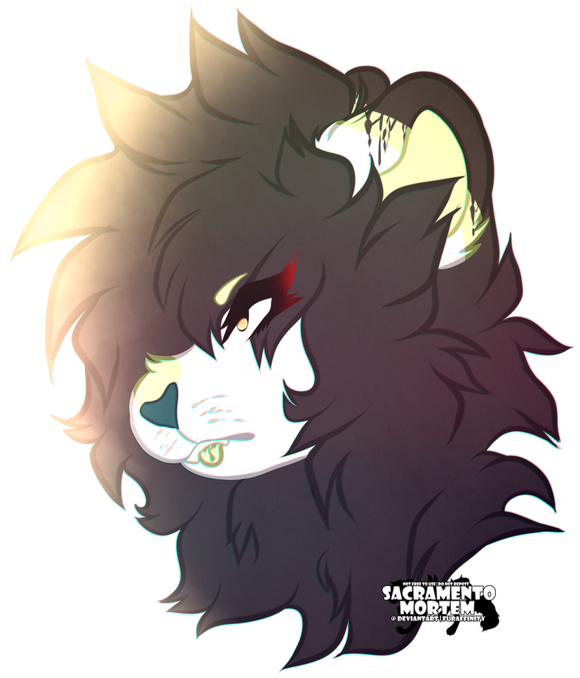 Grumpy Kitty by HyuniLiu on DeviantArt