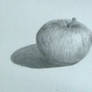 Graphite apple drawing