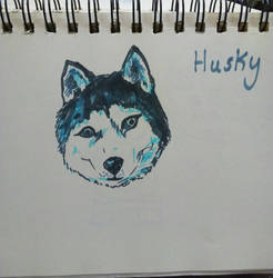 Husky Inktober day 6