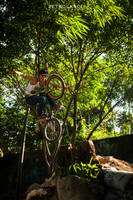 Brown out MTB/BMX Dirt Jump Session