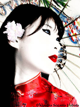 Beautifull Geisha