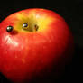 Pierced apple