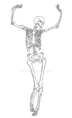 Skeleton - Life Drawing II