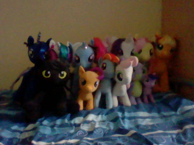 My current Plush collection