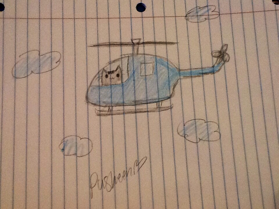 Pusheen in a helicopter