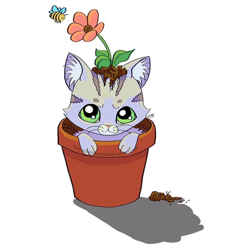 Cat In A Pot