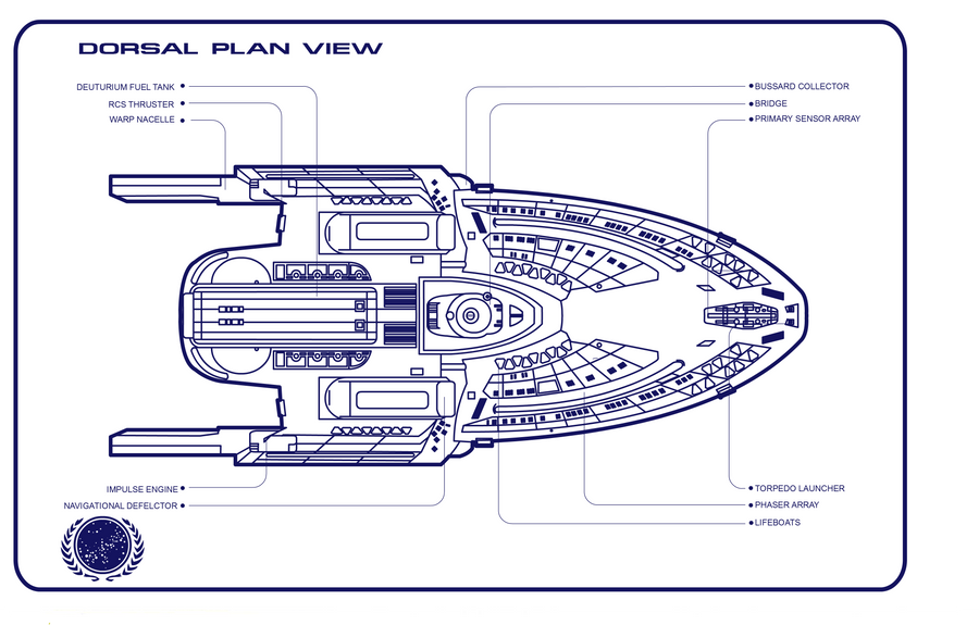 quantum dorsal blueprint