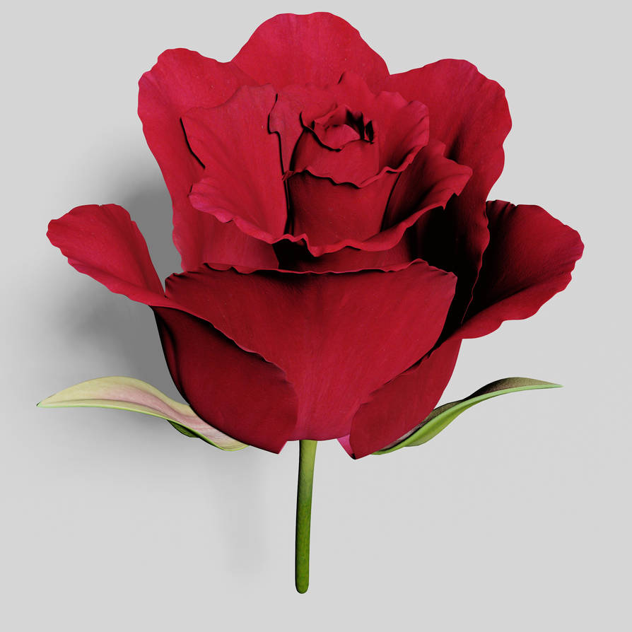 3d Rose Flower Rendered image by silappathikaram on DeviantArt