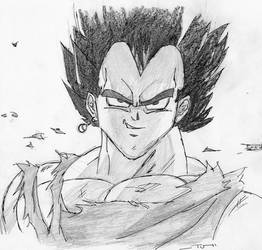 Vegeta crayonne