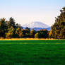 Green field for St.Helens