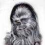 Chewbacca here is first-mate on a ship