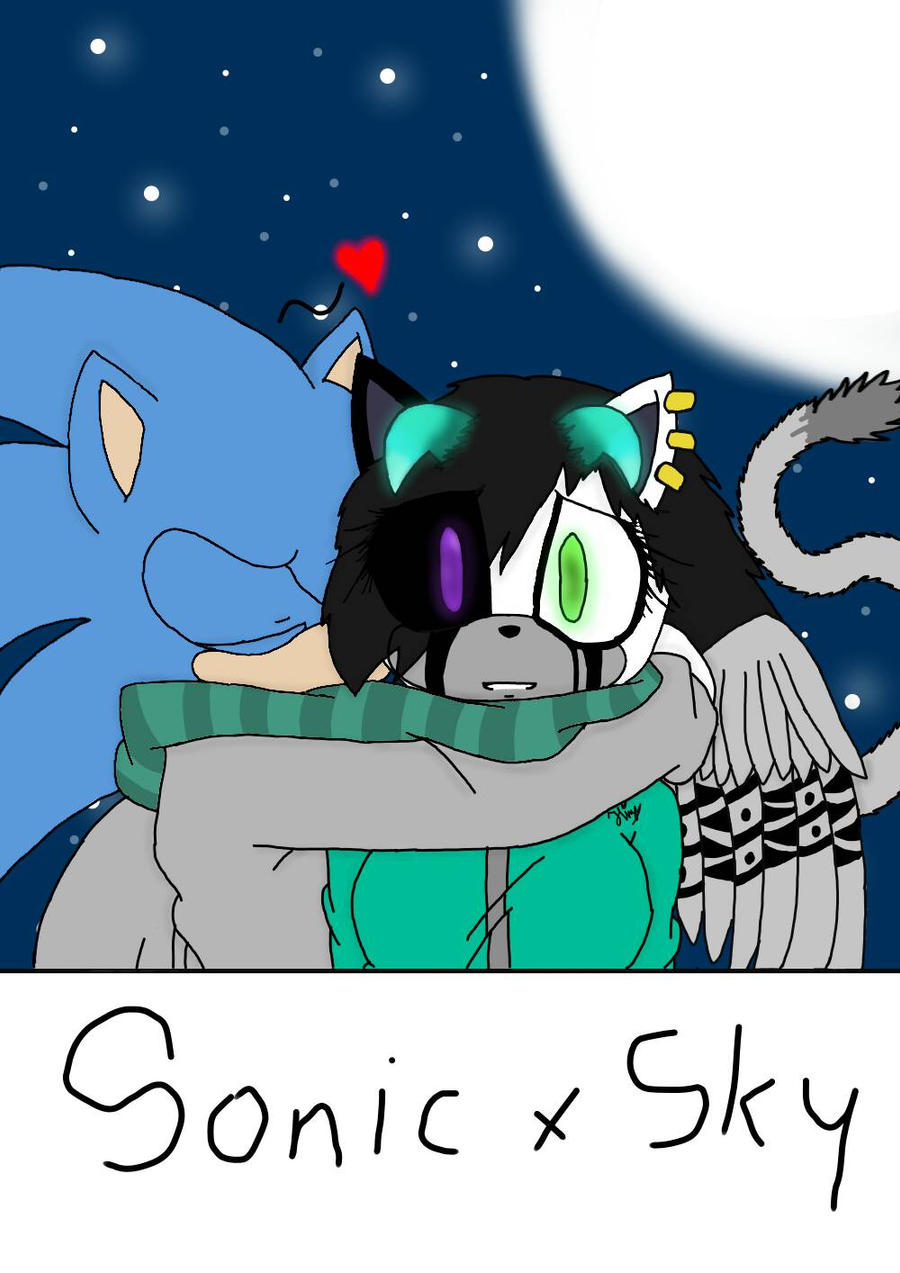 Sonic x Sky by SkyPrincessYT on DeviantArt