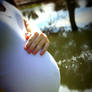 Maternity Photography