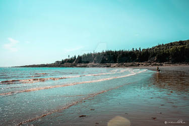 Tranquil Beaching