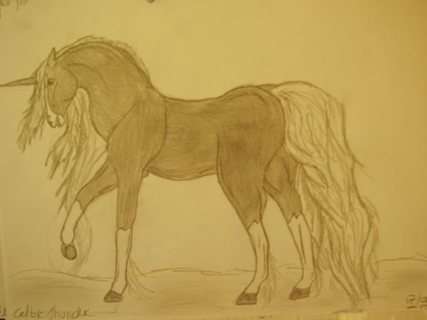 Black Unicorn by sofietjj on DeviantArt