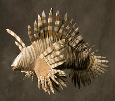 Lionfish