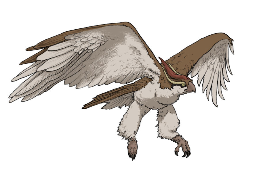 018 Pidgeot By Derekfoxy On DeviantArt