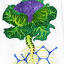 Entheovision1