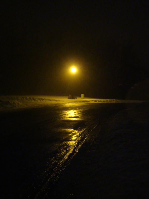the foggy night